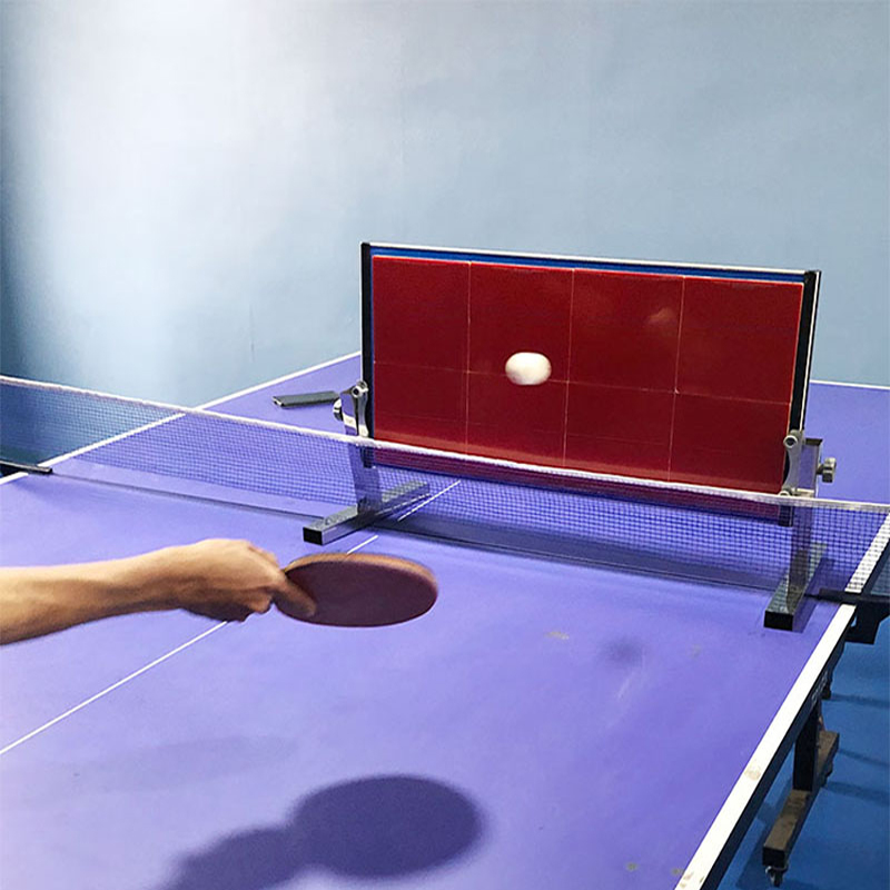 Home Table Tennis Rebound Boar - đánh giá và giá Table Tennis Daily