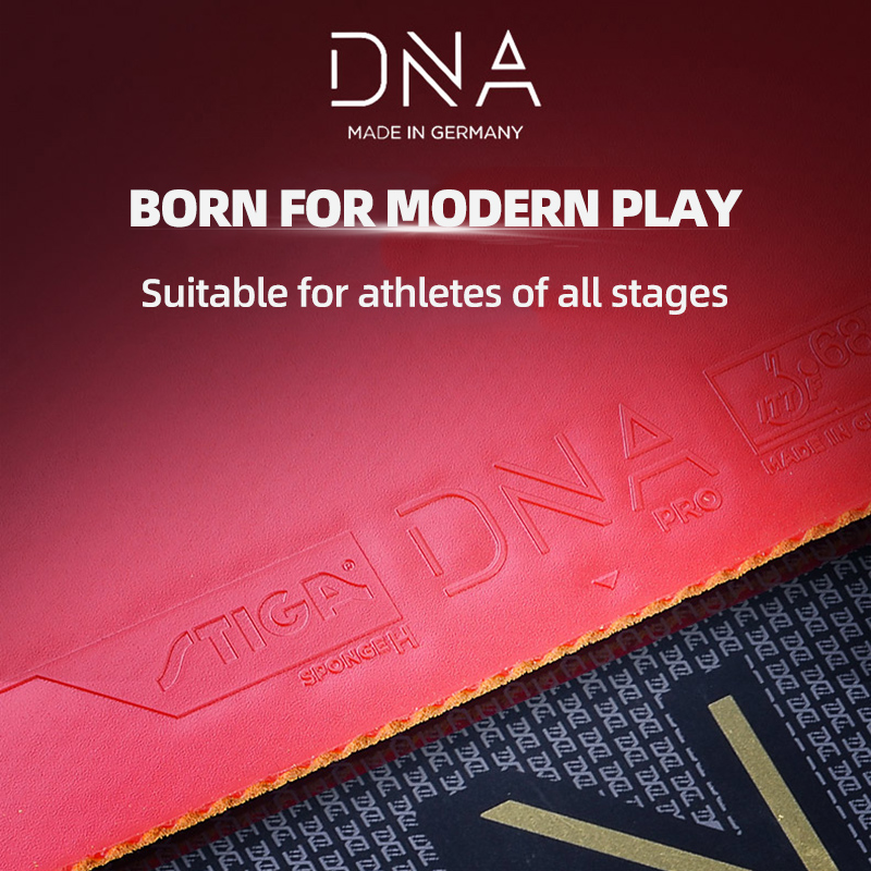 Original STIGA DNA PRO M / H / - đánh giá và giá Table Tennis Form